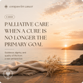 EN: Palliative Care — When Healing Is No Longer the Focus